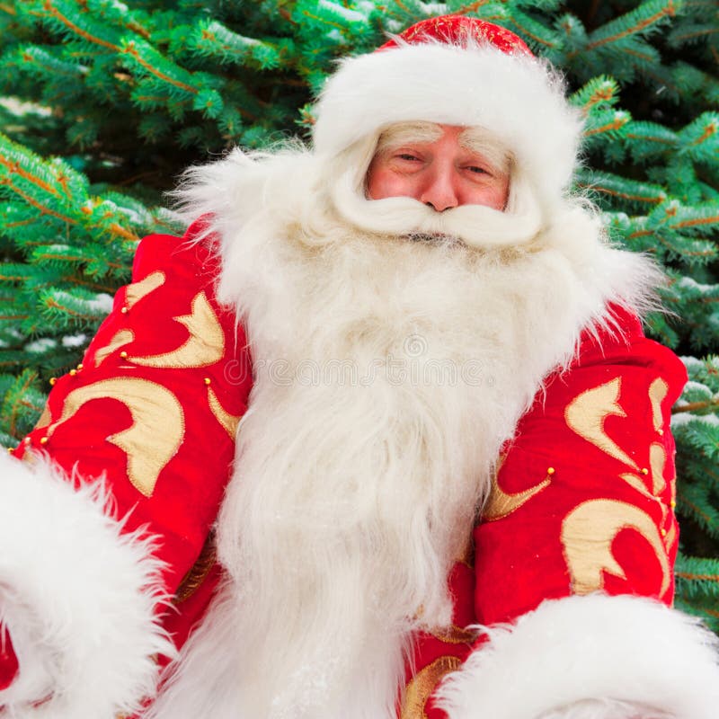 Portrait of natural Santa Claus standing at Christmas Tree outdoors in winter and welcoming you with open hands. Portrait of natural Santa Claus standing at Christmas Tree outdoors in winter and welcoming you with open hands