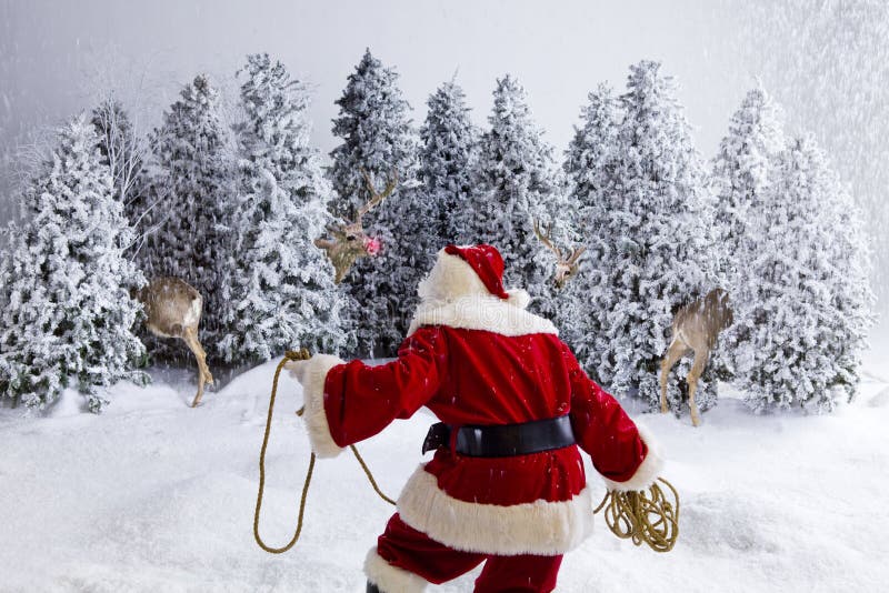 claus target829_0_ reniferowy Santa obrazy stock claus target829_0_ reniferowy Santa obrazy stock