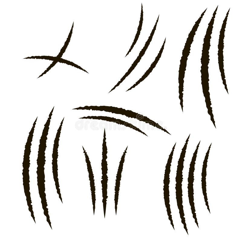 Free Free Paw Scratch Svg 332 SVG PNG EPS DXF File