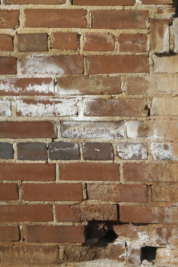 Clay Brick Wall Grunge Texture rouge