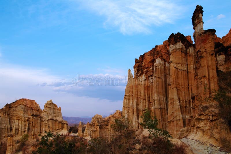 Clay forest