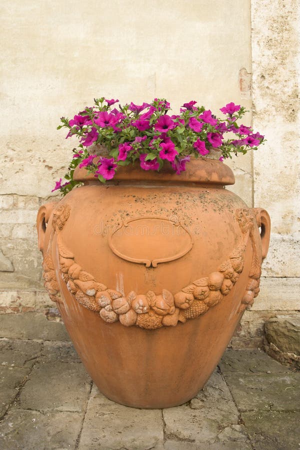 Clay pot with flowers on sidewalk.