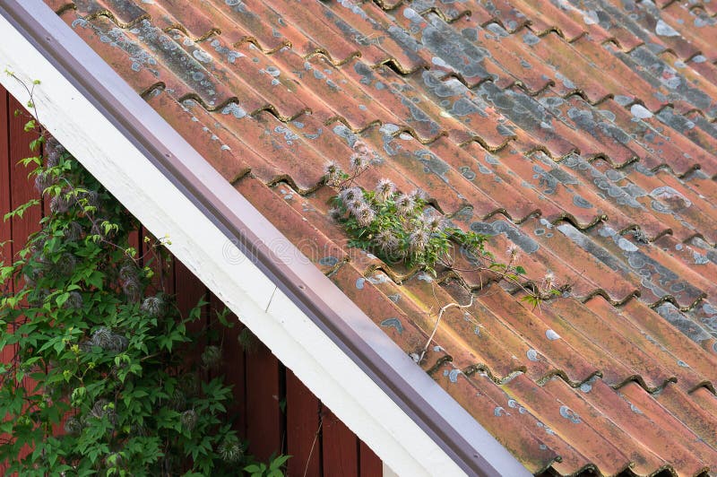 Clay tiles on roof top neding maintenance stock images Clay tiles on roof top neding maintenance stock images