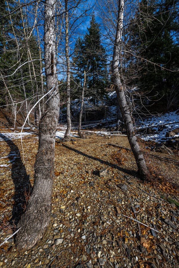 Cle Elum Lake Area stock image. Image of flying, roslyn 236612241