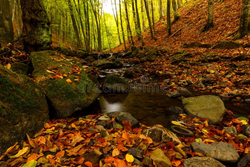 63 771 Autumn Forest Waterfall Photos Free Royalty Free Stock Photos From Dreamstime