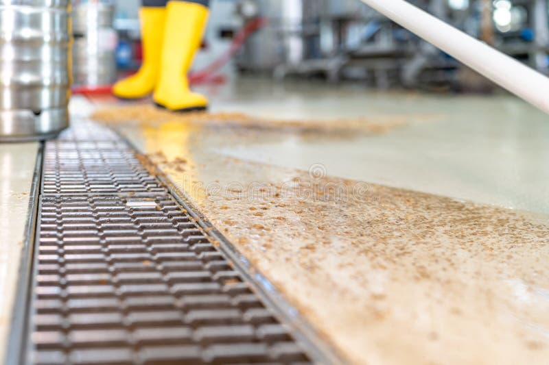 Clean the Floors with Water and Squeegee in the Brewery Stock Photo Image of ferment, white