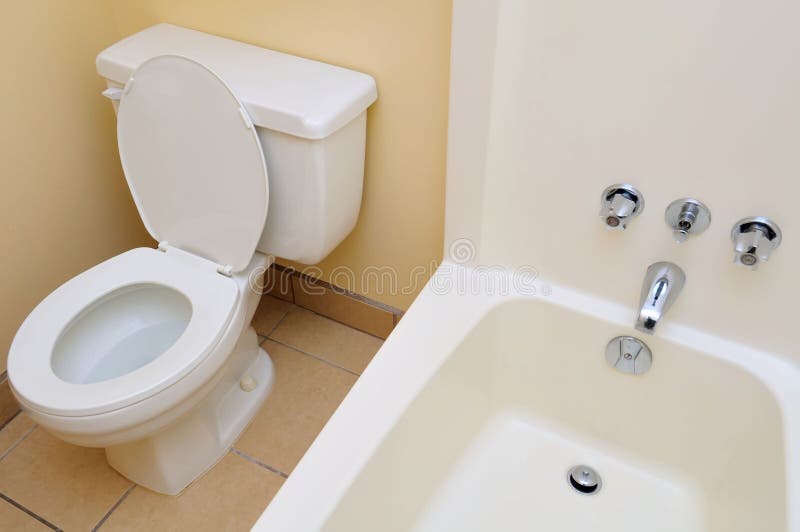 Clean and luxurious toilet