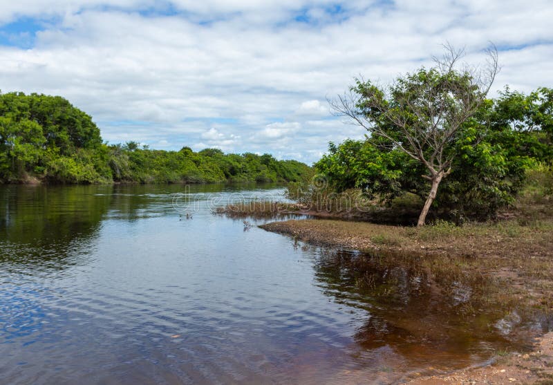 Clean River in the Forest of Chapada Diamantina National Park, Bahia ...