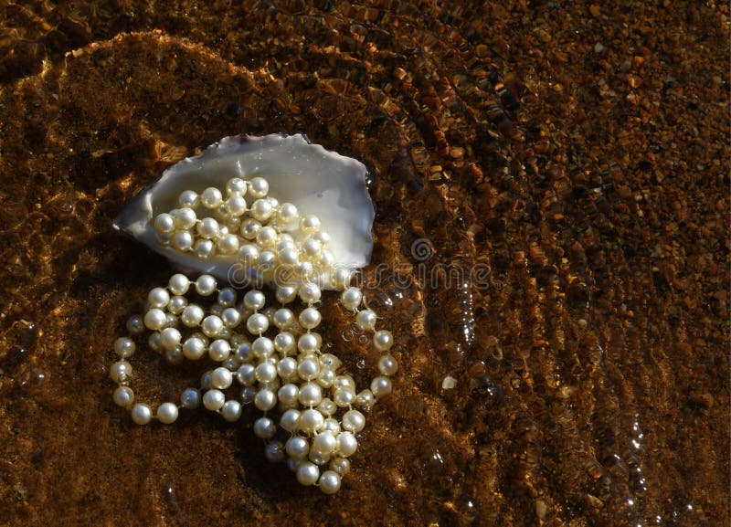 Oyster with beads Necklace, white pearls in in the water against sandy beach. royalty free stock images Oyster with beads Necklace, white pearls in in the water against sandy beach. royalty free stock images
