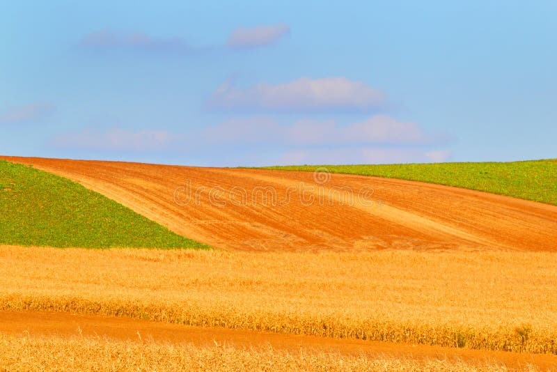 The cleaned farmer field. royalty free stock image