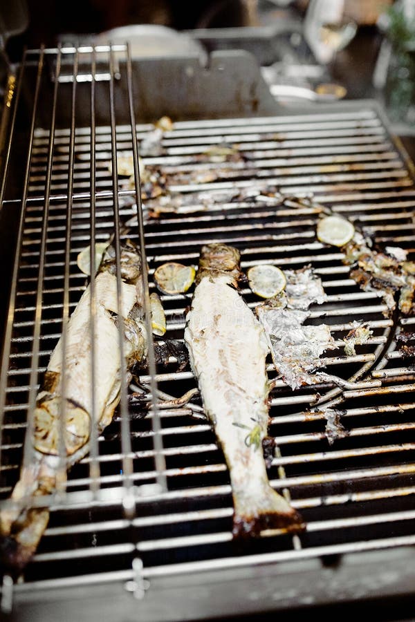 Cleaned Fish Stock Photos Download 907 Royalty Free Photos