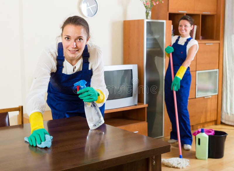 Smiling Russian Blonde Maid Cleaning In Domestic Kitchen With Sprayer Stock  Photo, Picture and Royalty Free Image. Image 62932244.