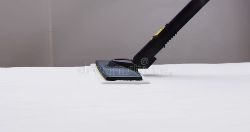 Picture of How to Safely Get Rid of Bed Bugs Without Toxic Chemicals