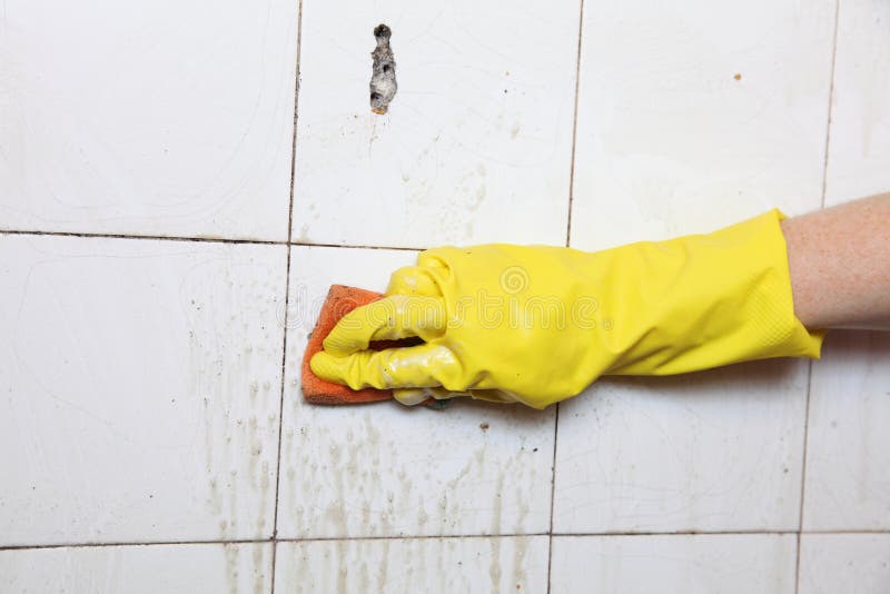 Gloved hand cleaning dirty old tiles with sponge in a bathroom. Gloved hand cleaning dirty old tiles with sponge in a bathroom