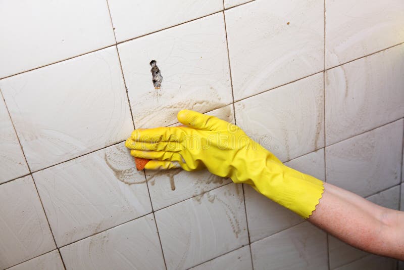 Gloved hand cleaning dirty old tiles with sponge in a bathroom. Gloved hand cleaning dirty old tiles with sponge in a bathroom