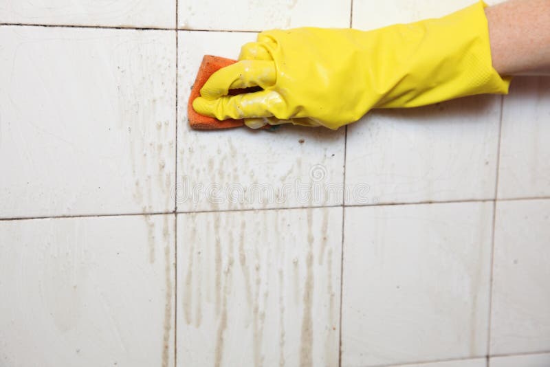 Gloved hand cleaning dirty old tiles with sponge in a bathroom. Gloved hand cleaning dirty old tiles with sponge in a bathroom