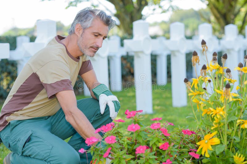 Cleaning the burial ground stock photo. Image of maintenance 123596704