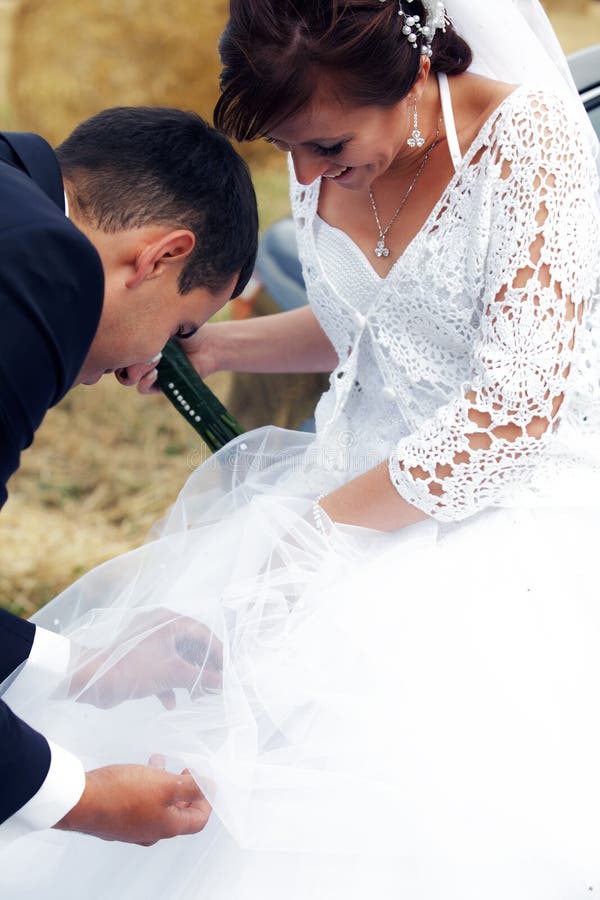 Cleaning dress stock image. Image of celebration, lady 22176645