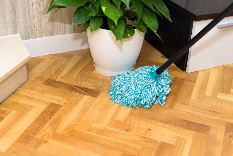 Cleaning floor at home stock photo. Image of parquet 124947816