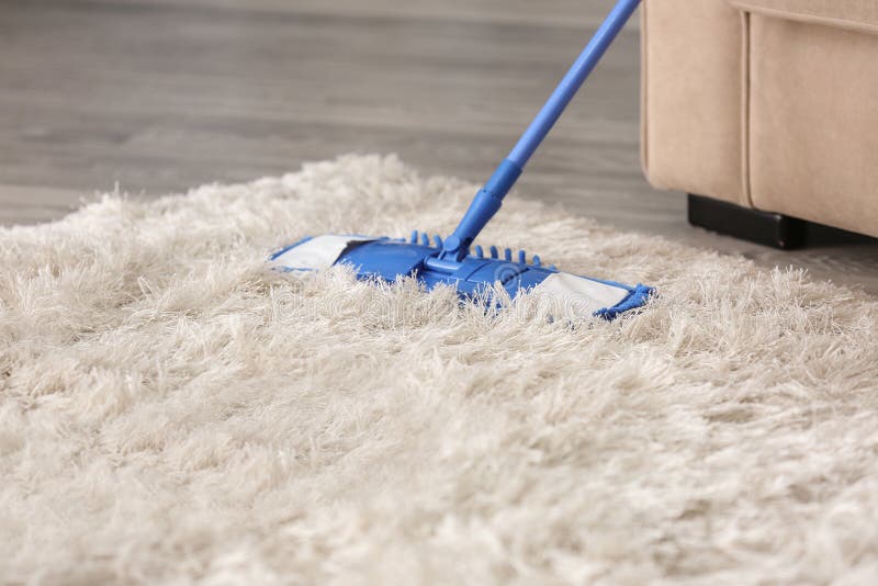 Cleaning of Fluffy Carpet in Living Room Stock Image Image of cleanup
