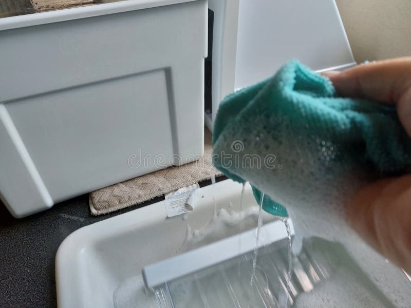 Cleaning the Fridge Freezer Stock Image Image of cleaning, chore
