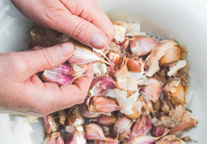 Cleaning garlic stock photo. Image of hands, macro, detail 102651762