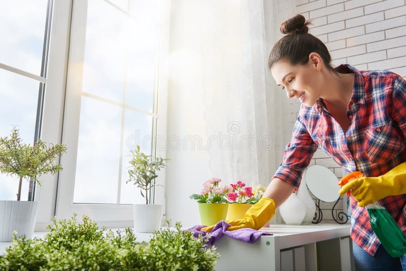 Beautiful young woman makes cleaning the house. Girl rubs dust. Beautiful young woman makes cleaning the house. Girl rubs dust.