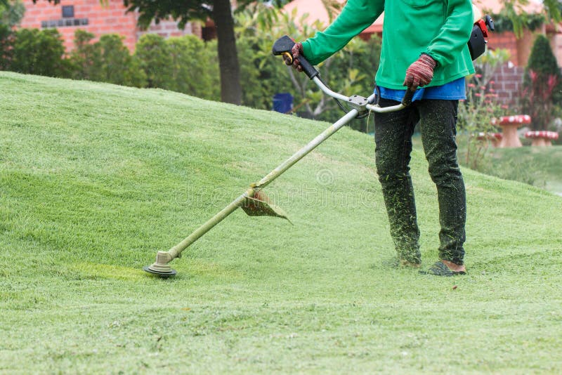 Cleaning with lawn mower stock photo. Image of work, lawnmower 58447006