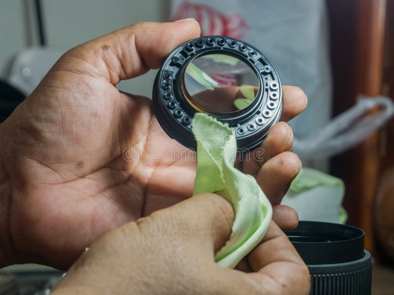 Lens fungus Mold stock image. Image of texture, surface 178797739