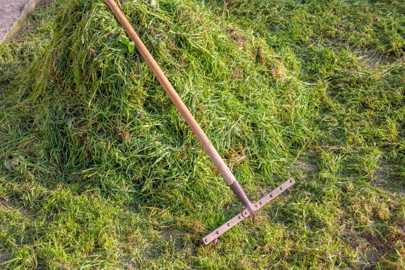 Heap of mowed grass stock photo. Image of mowed, organic - 35733946