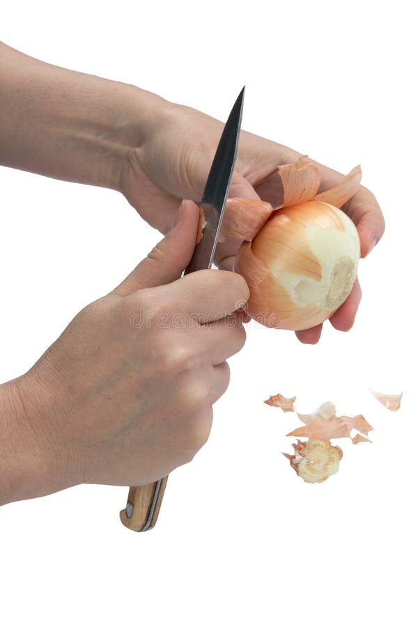 Cleaning the onion balk stock photo. Image of agriculture 37719514