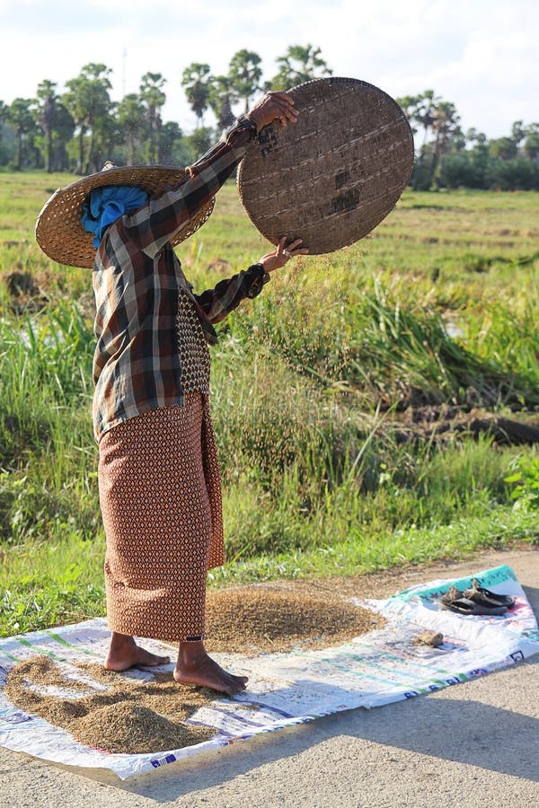 A Farmer Cleaning Wheat Dust from Broom at Farmers Produce Market