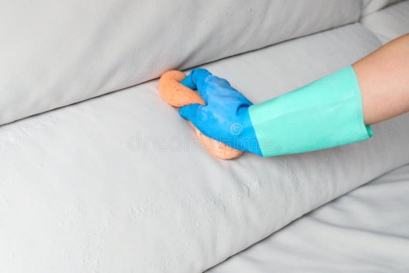 Cleaning the Sofa with a Foam Sponge Stock Photo Image of indoors