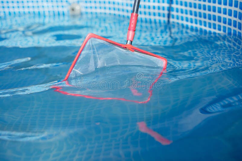 Cleaning the Surface of Your Home Pool with a Net Stock Photo Image