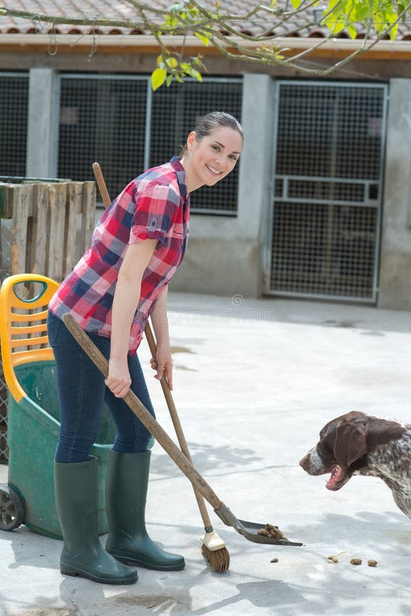 Cleaning Time for Kennel Assistant Stock Image Image of pick, healthy