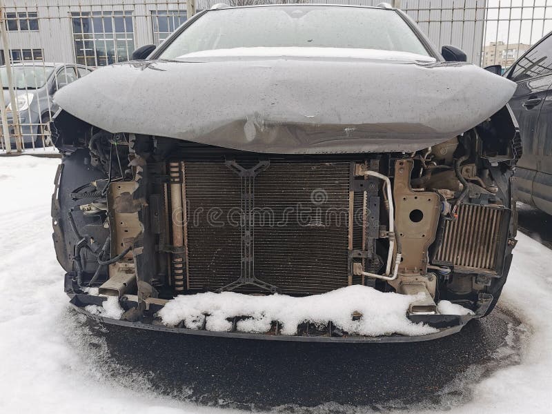 Cleaning, Washing with a Special Composition of the Engine Compartment