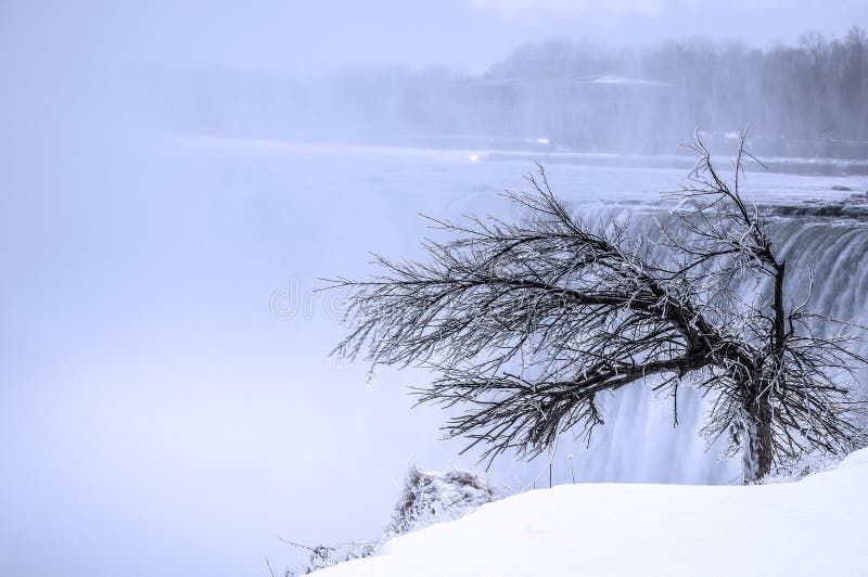 Winter scene