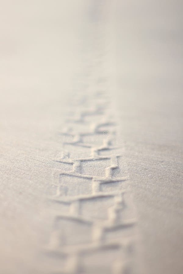 Clear detail of track from the bicycle wheel in wet sand on the beach.