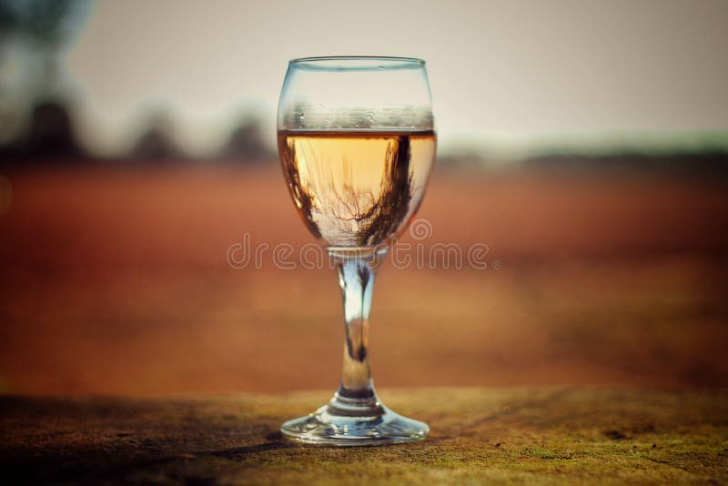 Clear Glass Wine Cup Picture. Image 112089807