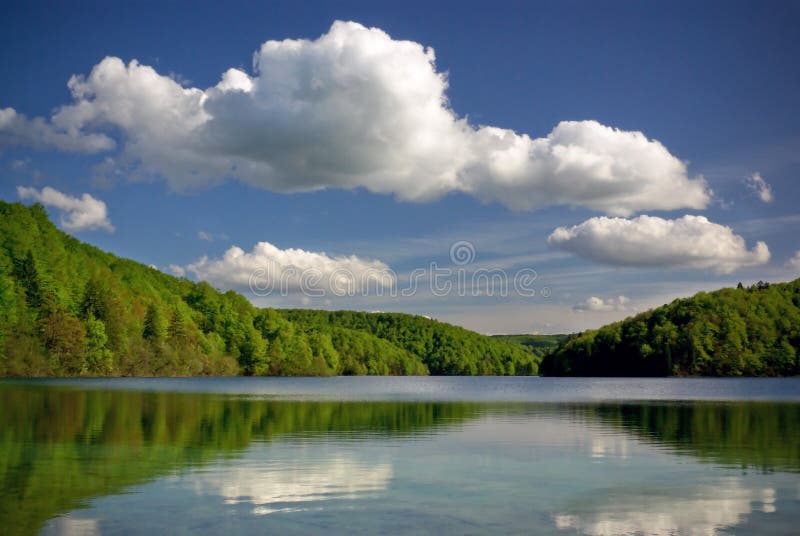 Clear mountain lake in green forest