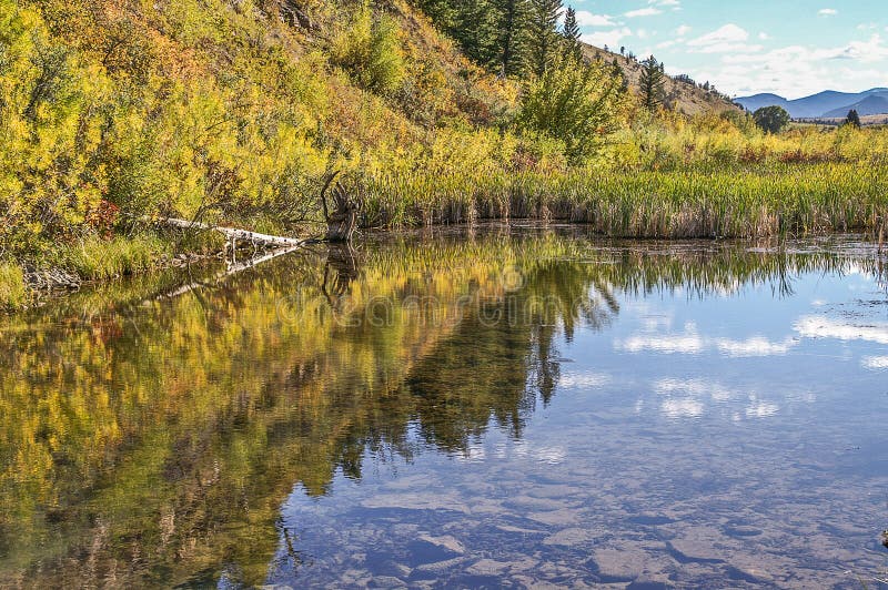 Clear Mountain Water with Reflections Stock Photo Image of united, nature 121456892