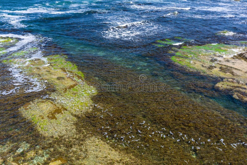 Clear sea water background. Transparent sea surface. Beautiful seascape of the Black Sea coast near Tsarevo, Bulgaria. Arapya bay