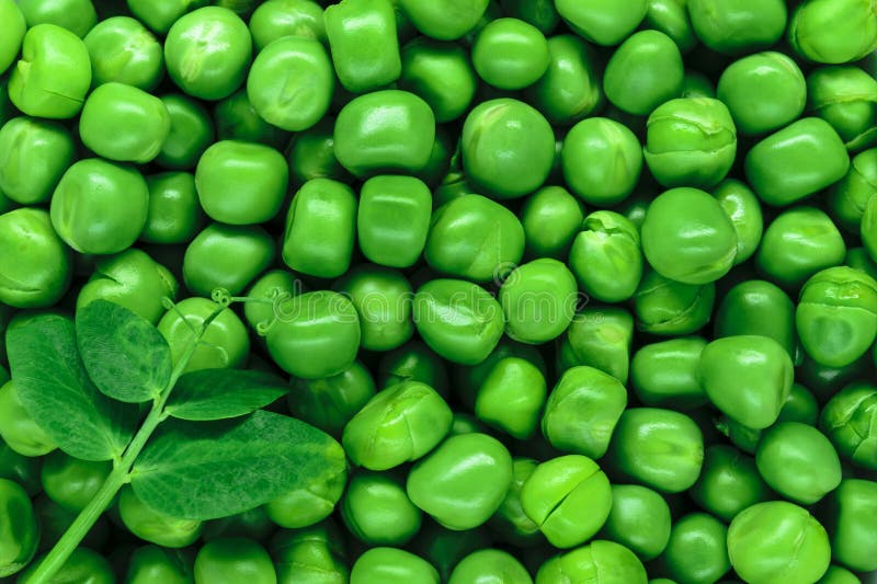 Clear and Sharp Close Up View of Fresh Green Peas Background Surface