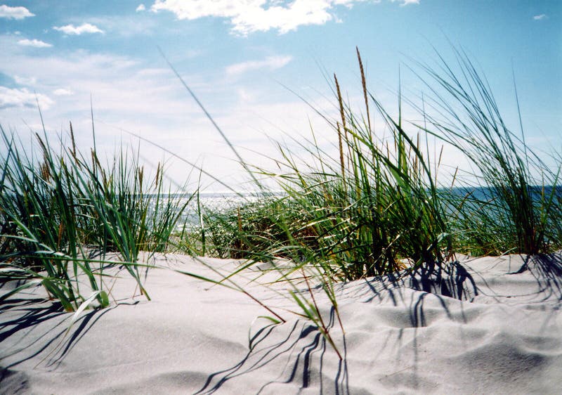 Limpida giornata estiva al mare.