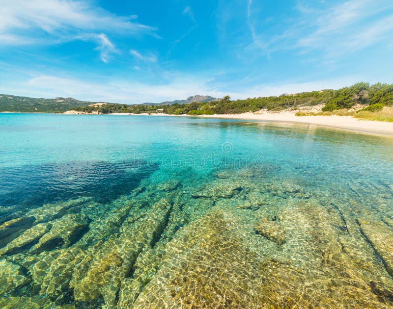 Clear Water in La Celvia Beach Stock Image Image of celvia, ocean