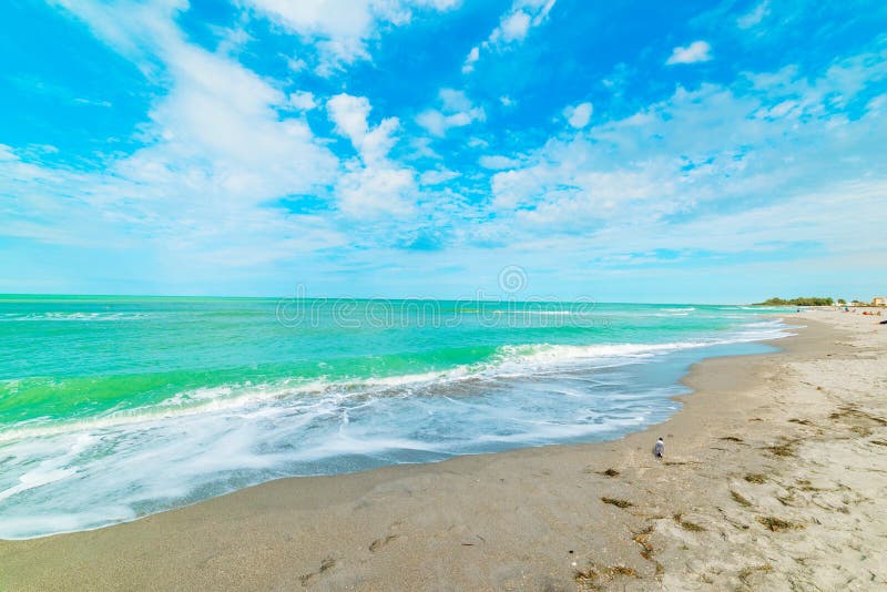 Clear Water in Venice Beach Stock Image Image of seascape, shore