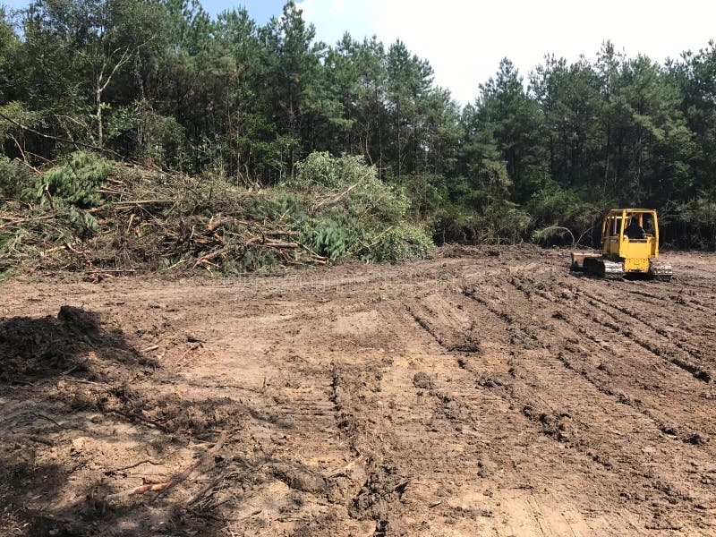 Forest Land clearing with bulldozer