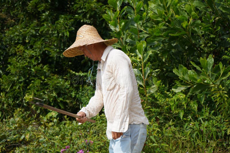 Clearning Land des asiatischen Landwirts stockbilder Clearning Land des asiatischen Landwirts stockbilder