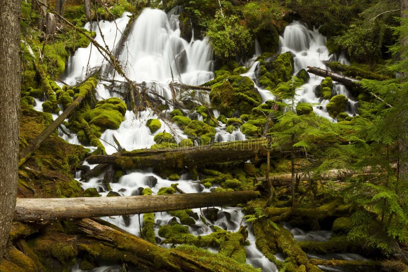 Clearwater Falls stock photo. Image of cascade, flowing 22213210