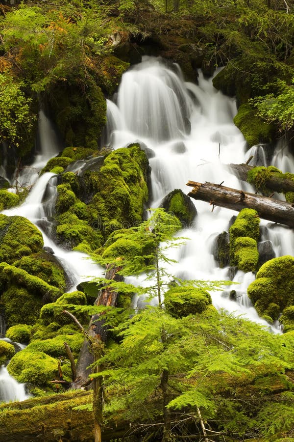 Clearwater Falls stock photo. Image of nature, scenery 22213418